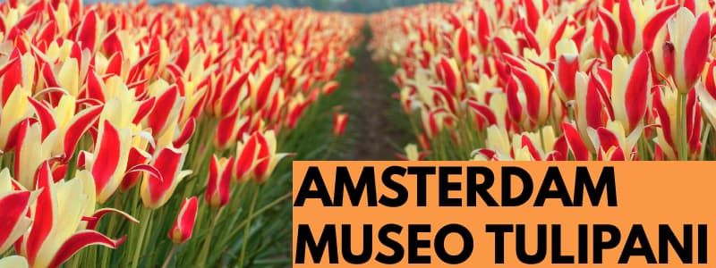 Amsterdam Tulip Museum