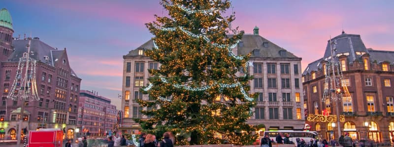 Fotografia del centro di Amsterdam a Natale con un albero di Natale al centro della piazza e gli edifici illuminati