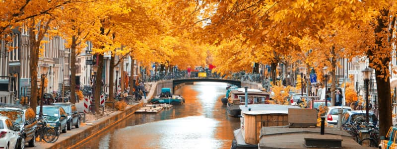 Fotografia di un canale di Amsterdam in autunno con gli alberi sui lati con le foglie arancioni